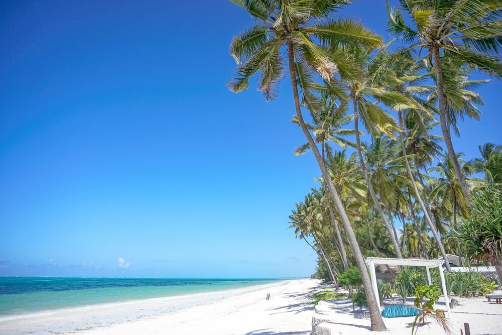 Indigo Beach Zanzibar — Beach in Paje, Zanzibar South