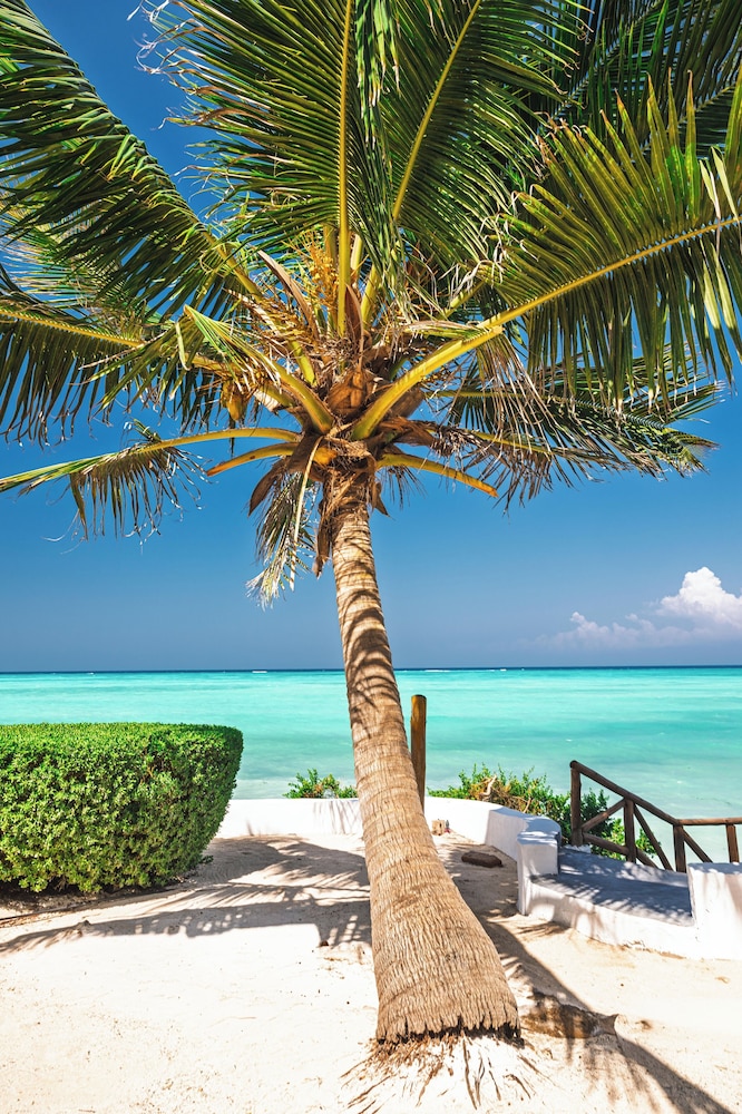 Tanzanite Beach Resort — Beach in Nungwi, Zanzibar North