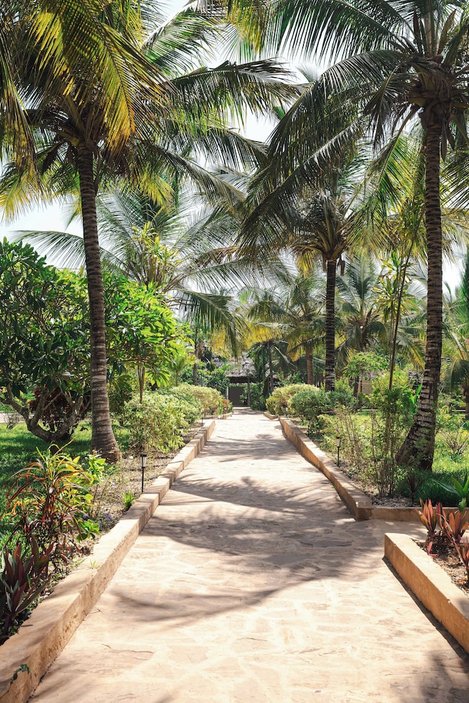 Tanzanite Beach Resort — Attractions in the area in Nungwi, Zanzibar North