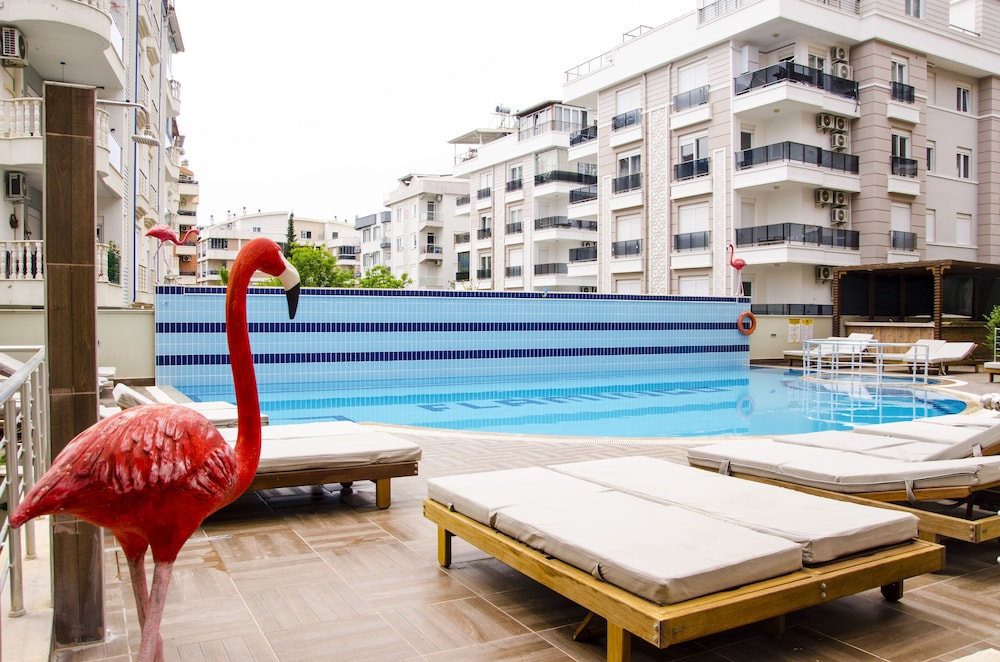 Flamingo Residence — Swimming pool in Antalya