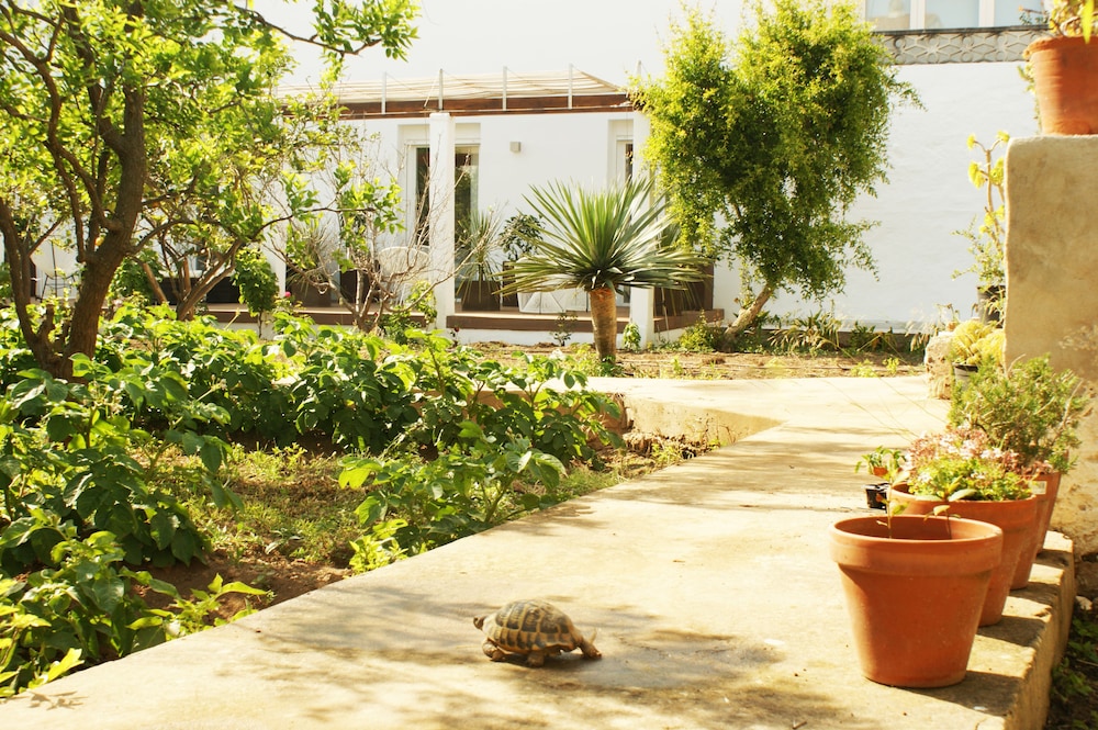 Hotel Abril 37 — Hotel building in Ciutadella de Menorca, Balearic Islands