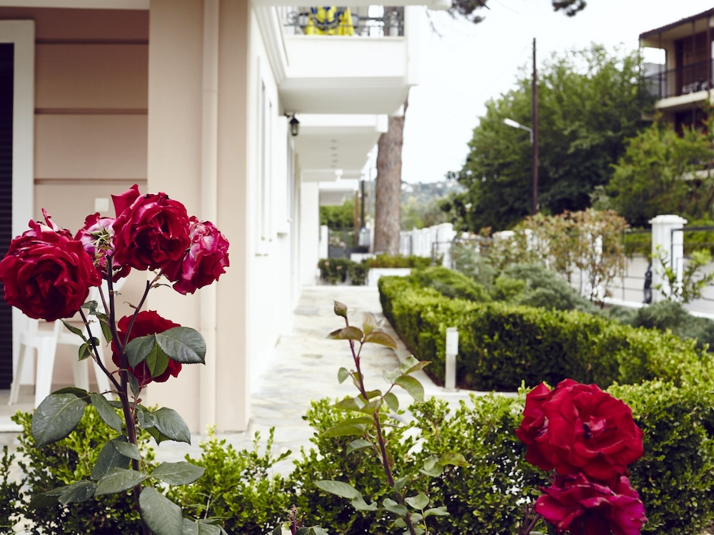Skiathos Somnia — Hotel building in Skiathos, Thessaly
