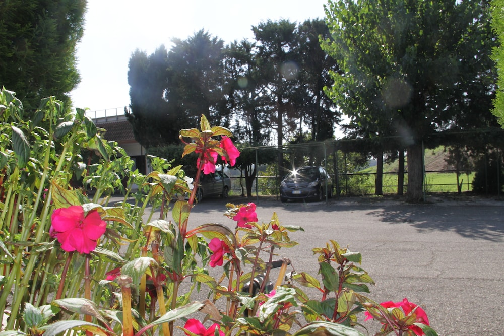 Hotel Boomerang — Attractions in the area in Rome, Lazio