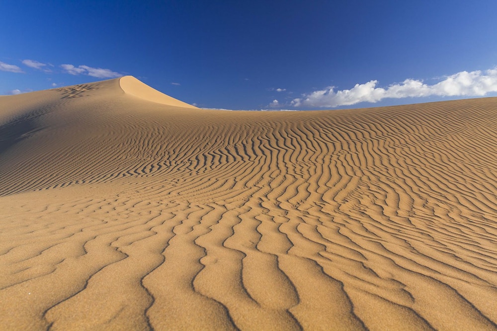 Arena Beach — Attractions in the area in Corralejo, Canary Islands