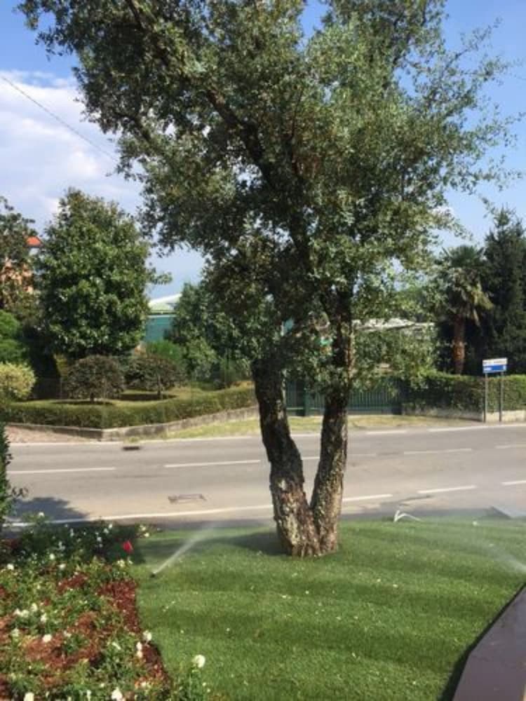 Albavilla Hotel & Co. — Attractions in the area in Albavilla, Lombardy