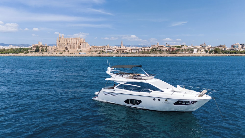 Portals Hills Boutique Hotel — Attractions in the area in Portals Nous, Balearic Islands