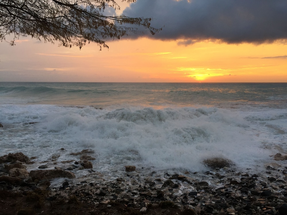 Ocean Z Boutique Hotel — Beach in Noord, Aruba