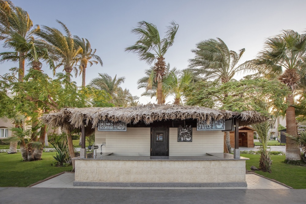 JAZ Makadi Oasis Resort - All inclusive — Restaurant & bars in Makadi Bay, Red Sea