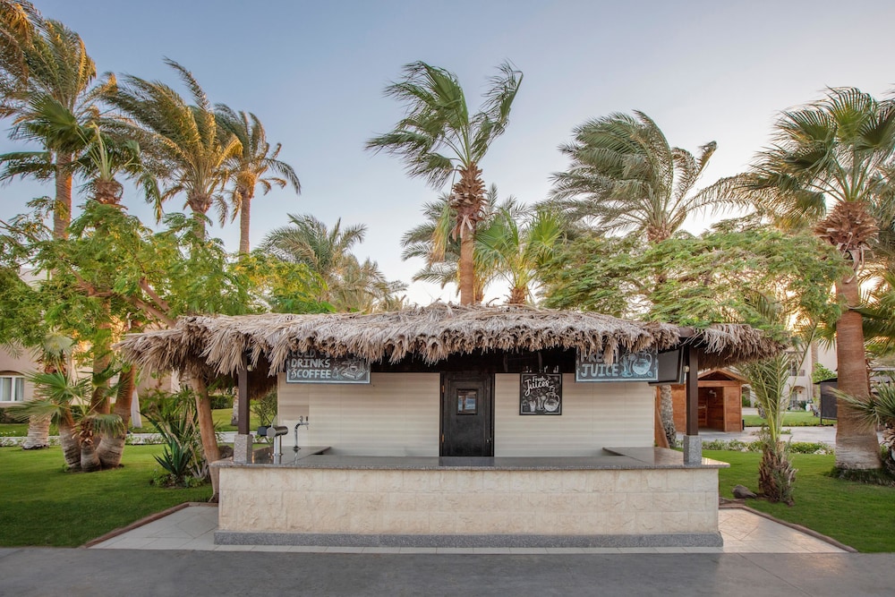 JAZ Makadi Oasis Resort - All inclusive — Restaurant & bars in Makadi Bay, Red Sea