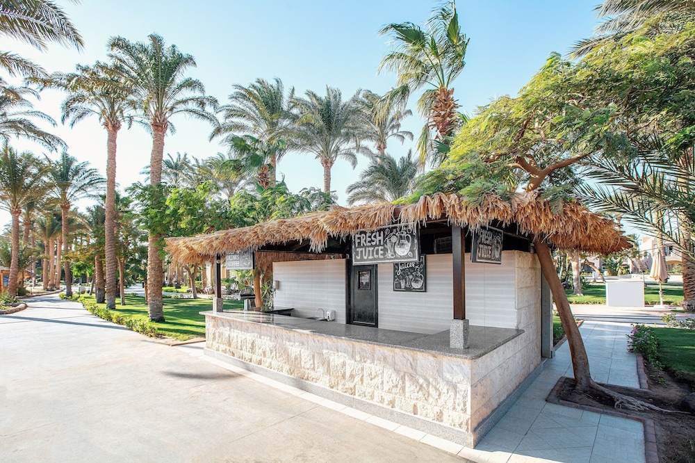 JAZ Makadi Oasis Resort - All inclusive — Restaurant & bars in Makadi Bay, Red Sea