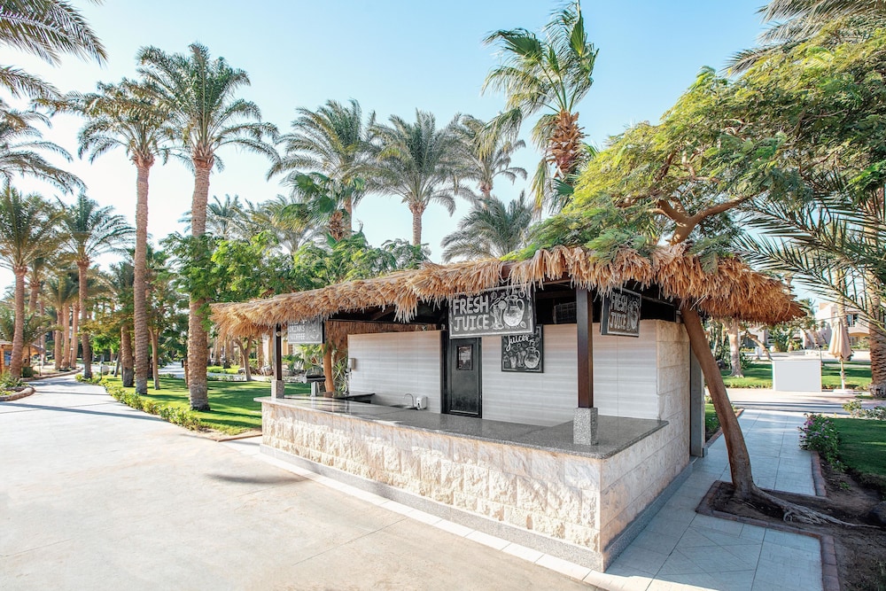 JAZ Makadi Oasis Resort - All inclusive — Restaurant & bars in Makadi Bay, Red Sea