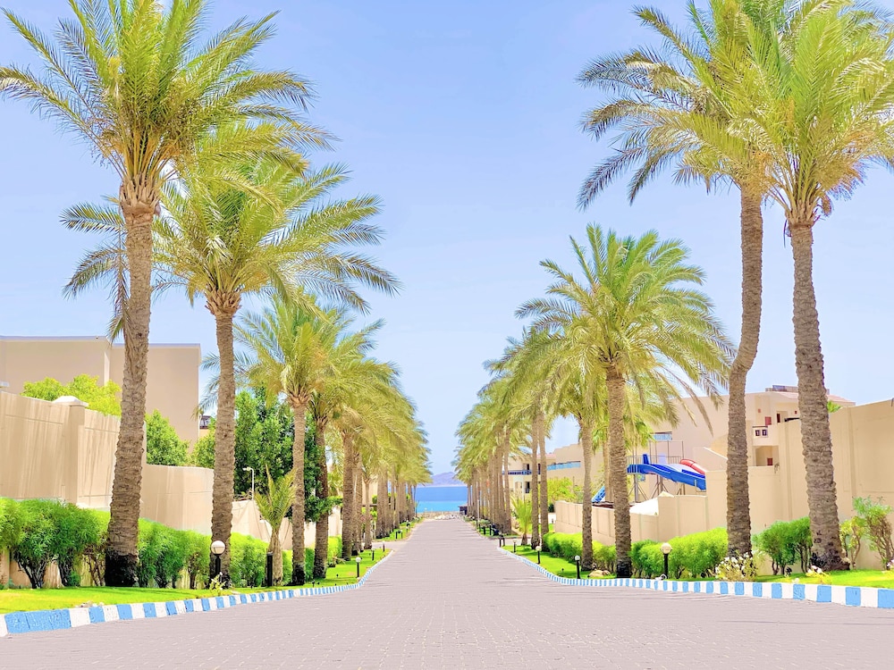 Ivy Cyrene Island Aqua Park Resort — Beach in Sharm El Sheikh, Red Sea