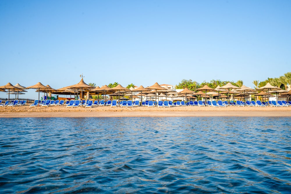 Ivy Cyrene Island Aqua Park Resort — Beach in Sharm El Sheikh, Red Sea