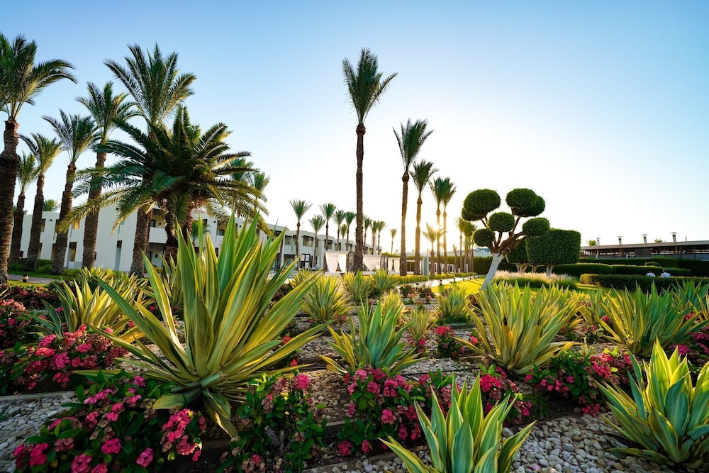 SENTIDO Reef Oasis Aqua Park Resort - All inclusive — Hotel building in Sharm El Sheikh, Red Sea