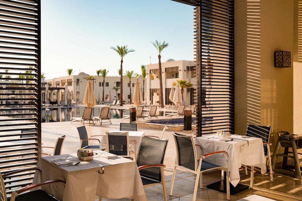 SENTIDO Reef Oasis Aqua Park Resort - All inclusive — Restaurant & bars in Sharm El Sheikh, Red Sea
