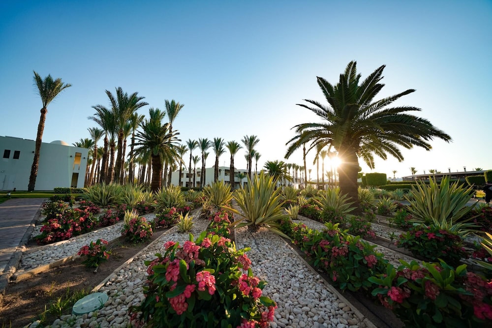 SENTIDO Reef Oasis Aqua Park Resort - All inclusive — Hotel building in Sharm El Sheikh, Red Sea