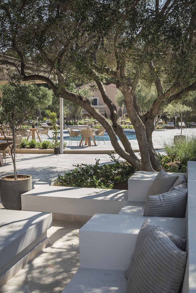 Thalassa Boutique Hotel - Adults Only — Restaurant & bars in Lassi, Ionian Islands
