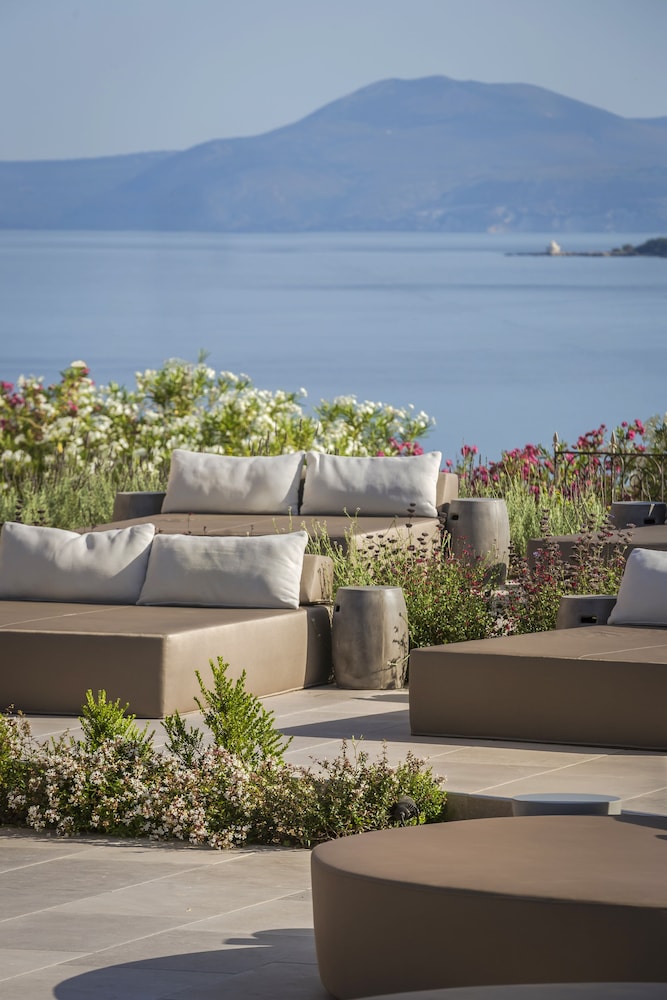 Thalassa Boutique Hotel - Adults Only — Restaurant & bars in Lassi, Ionian Islands
