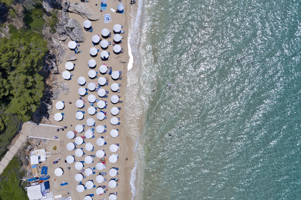 Thalassa Boutique Hotel - Adults Only — Beach in Lassi, Ionian Islands