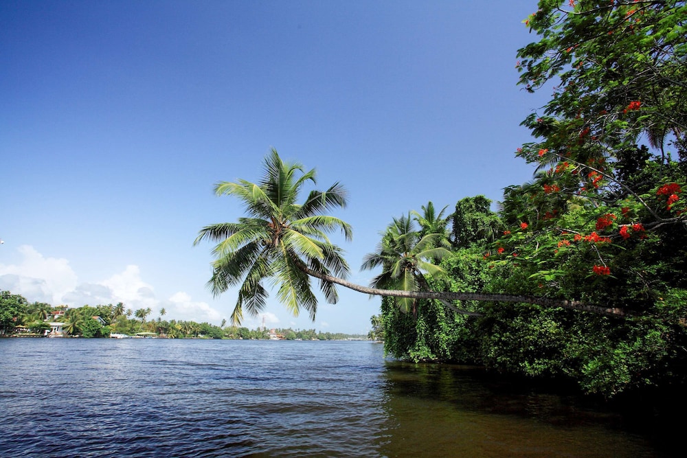 Pullman Bentota Resort and Spa — Attractions in the area in Bentota