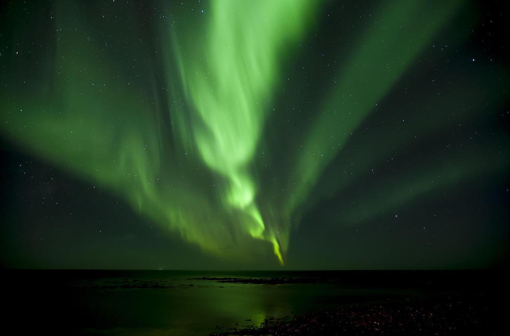 Tower Suites Reykjavik — Attractions in the area in Reykjavik, Capital Region