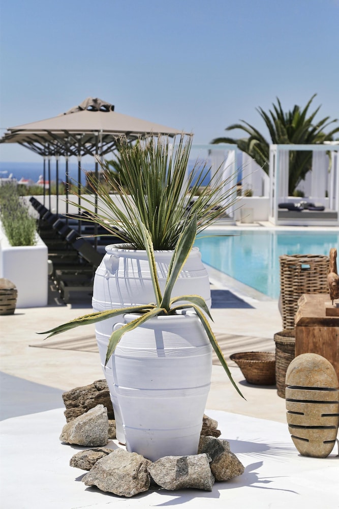 Livin Mykonos - Adults Only by Mr and Mrs White — Swimming pool in Mykonos Town, South Aegean