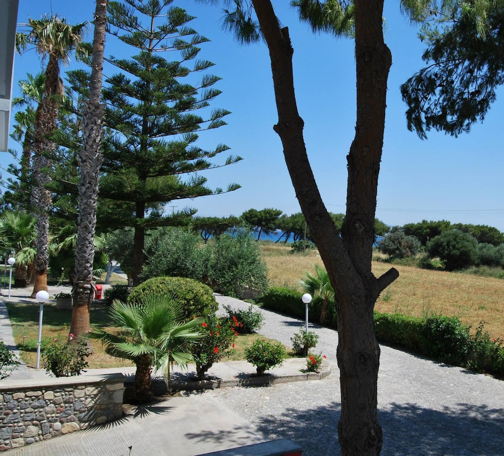 Blue Nest — Attractions in the area in Tigaki, South Aegean