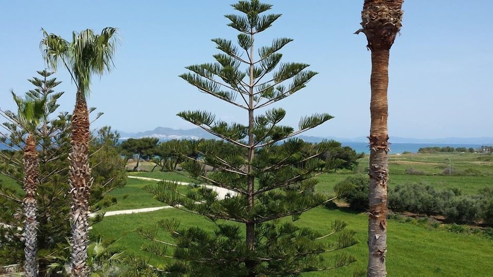 Blue Nest — Attractions in the area in Tigaki, South Aegean
