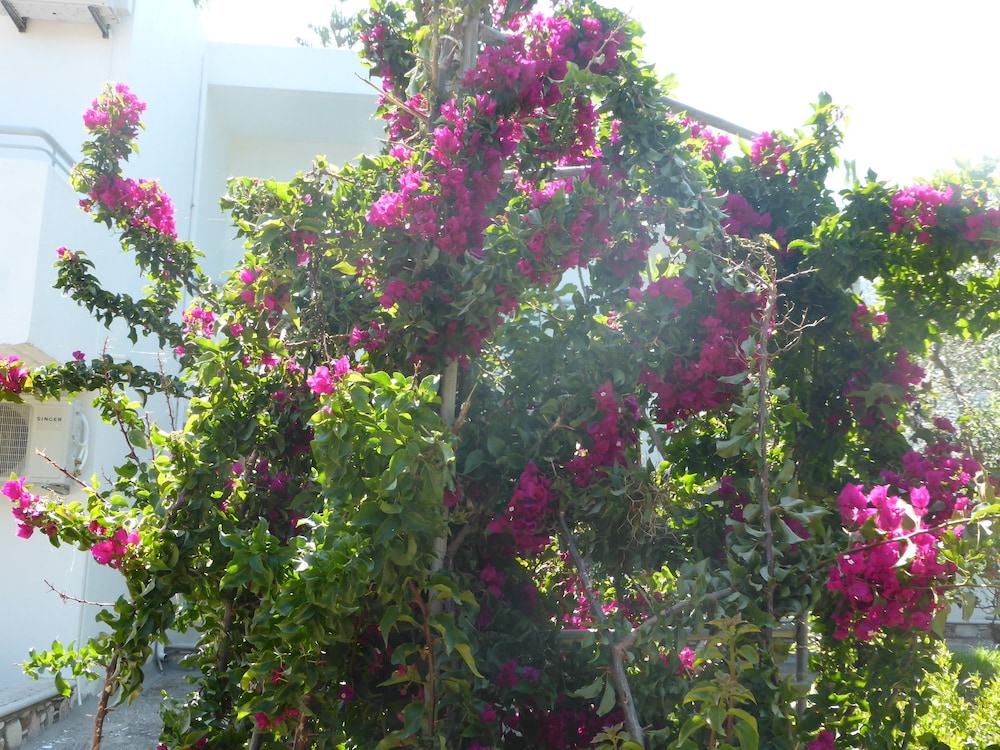 Blue Nest — Hotel building in Tigaki, South Aegean