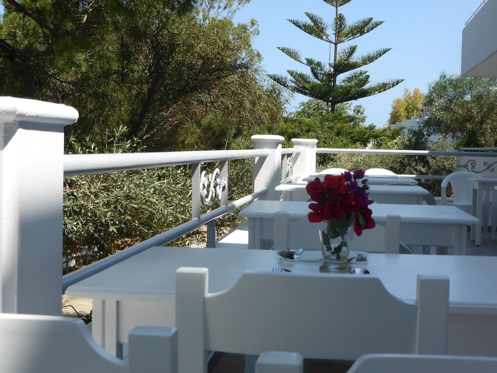 Blue Nest — Restaurant & bars in Tigaki, South Aegean