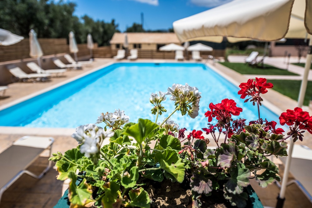 Dolce Vita Residence — Swimming pool in Kalamaki (Zakynthos), Ionian Islands