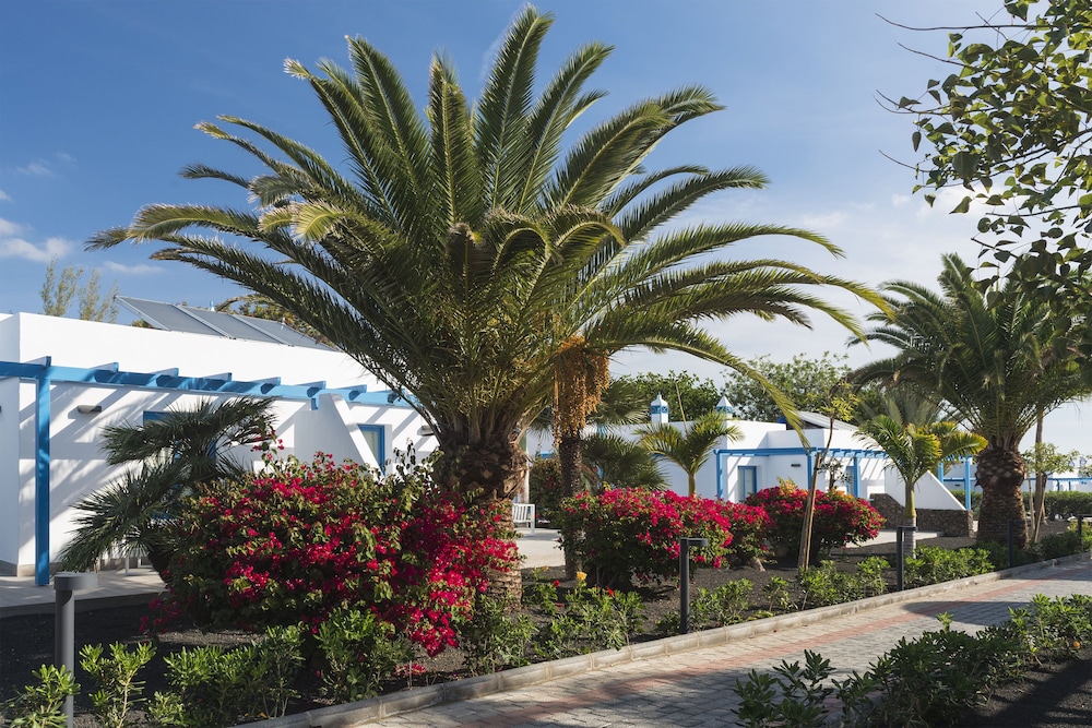 Elba Premium Suites - Adults Only — Hotel building in Playa Blanca, Canary Islands