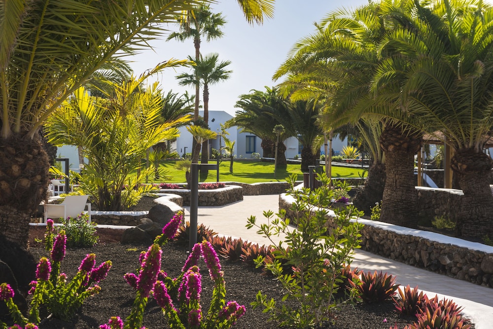 Elba Premium Suites - Adults Only — Hotel building in Playa Blanca, Canary Islands