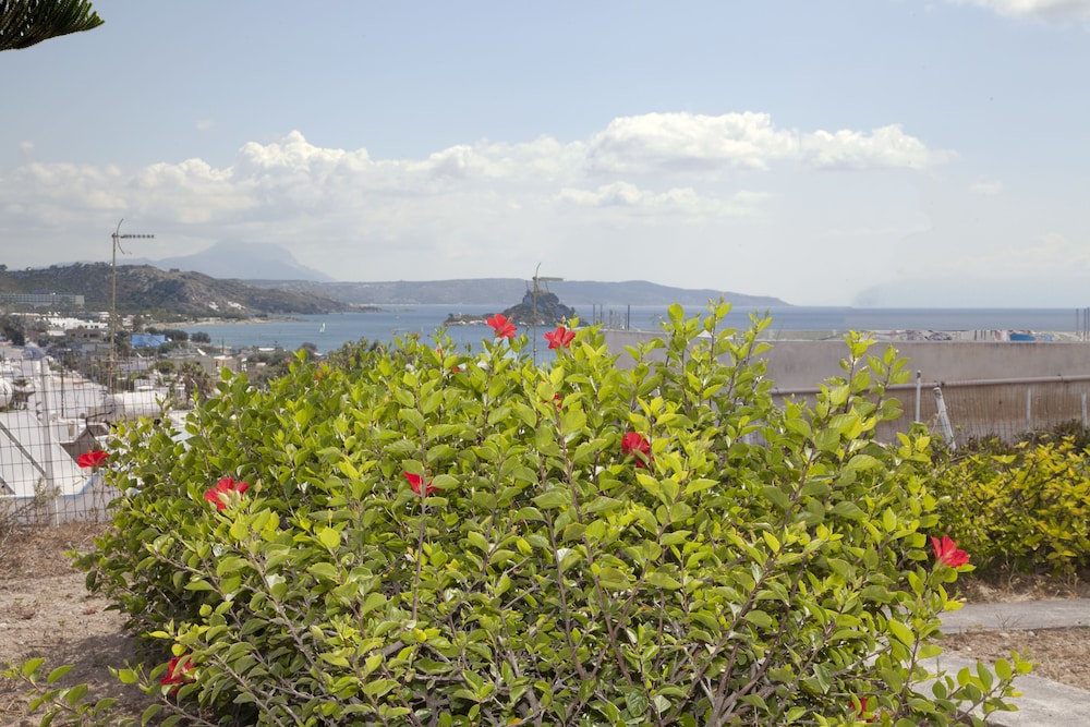 Archodia Studios — Attractions in the area in Kefalos, South Aegean