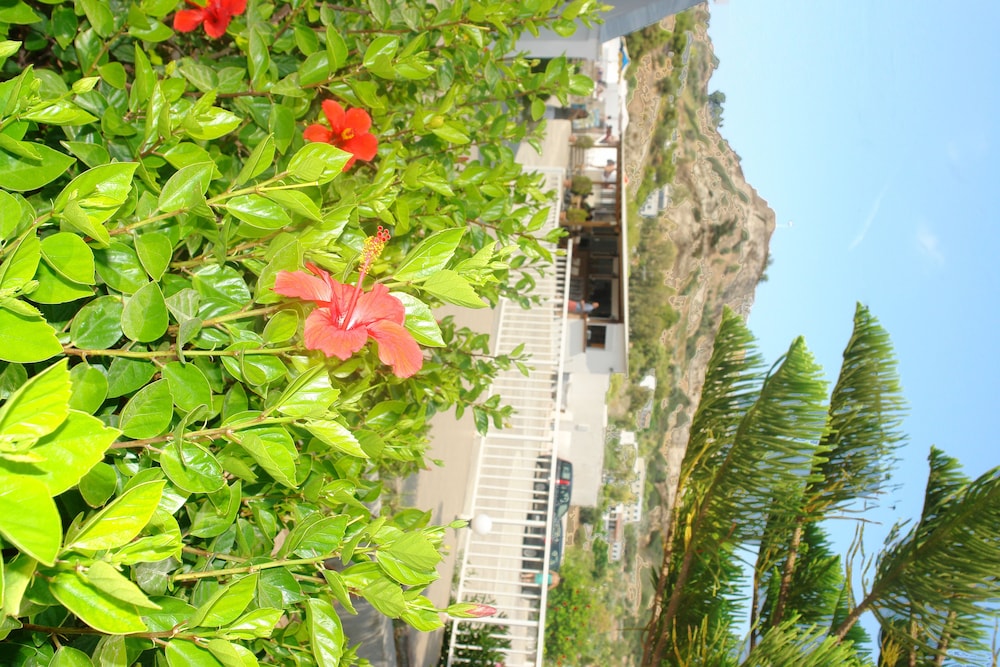 Archodia Studios — Attractions in the area in Kefalos, South Aegean
