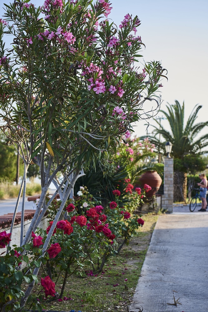 Kalloni Bay — Attractions in the area in Lesvos Island