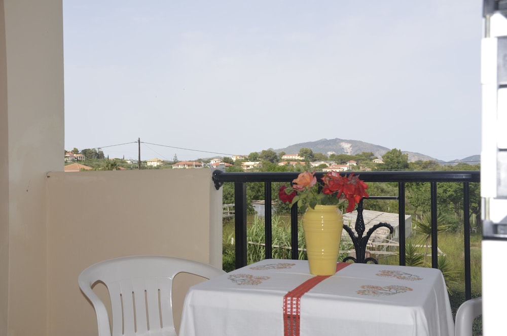 Jenny Hotel — Attractions in the area in Laganas, Ionian Islands