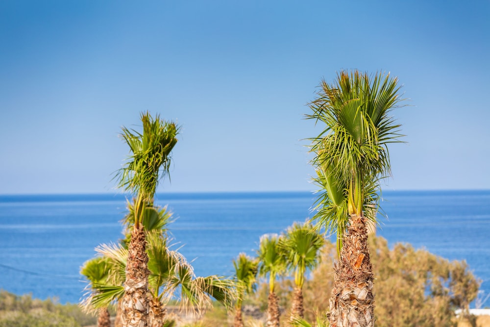 Desiterra Resort & Spa — Beach in Karterados, South Aegean
