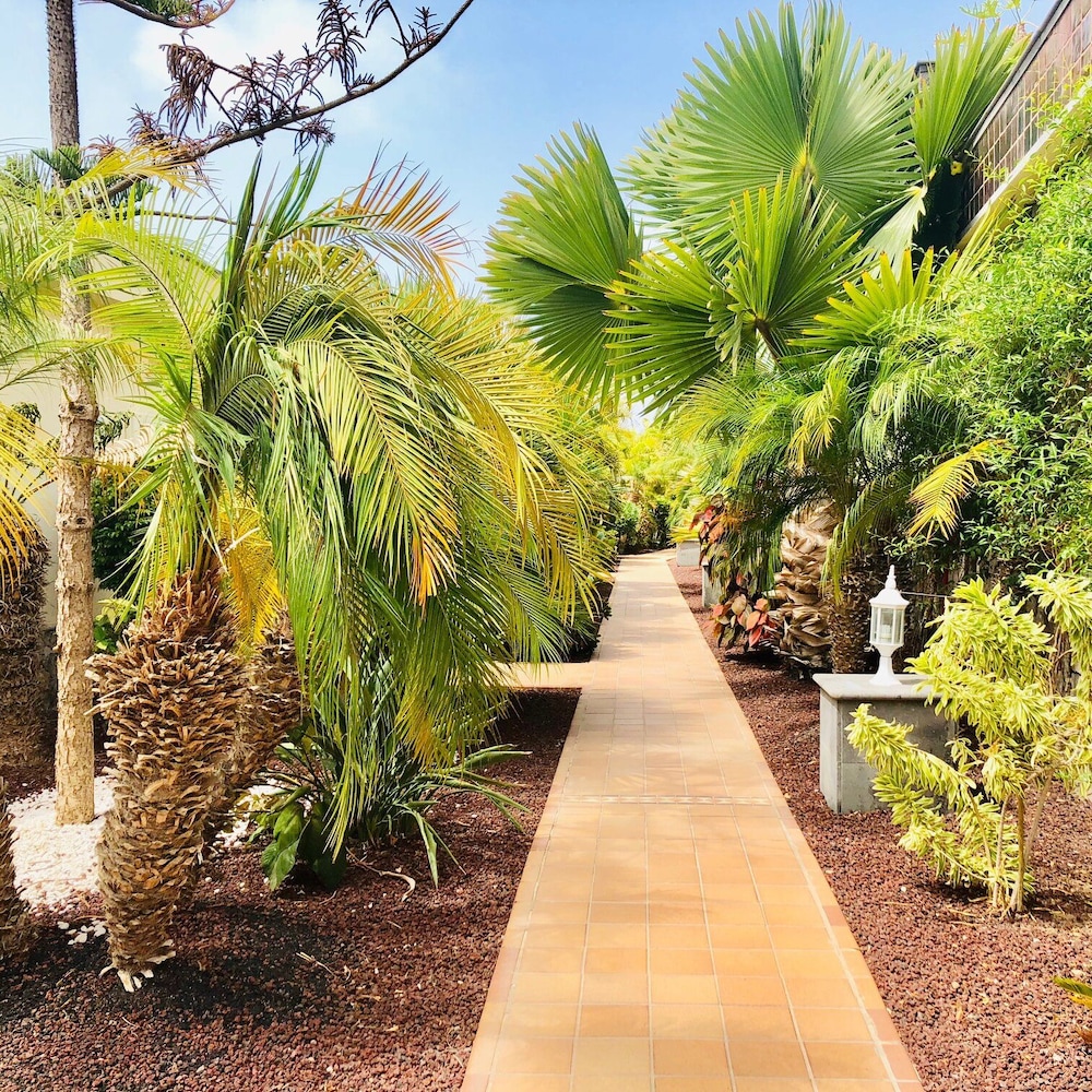 Holiday Club Playa Amadores — Attractions in the area in Puerto Rico, Canary Islands