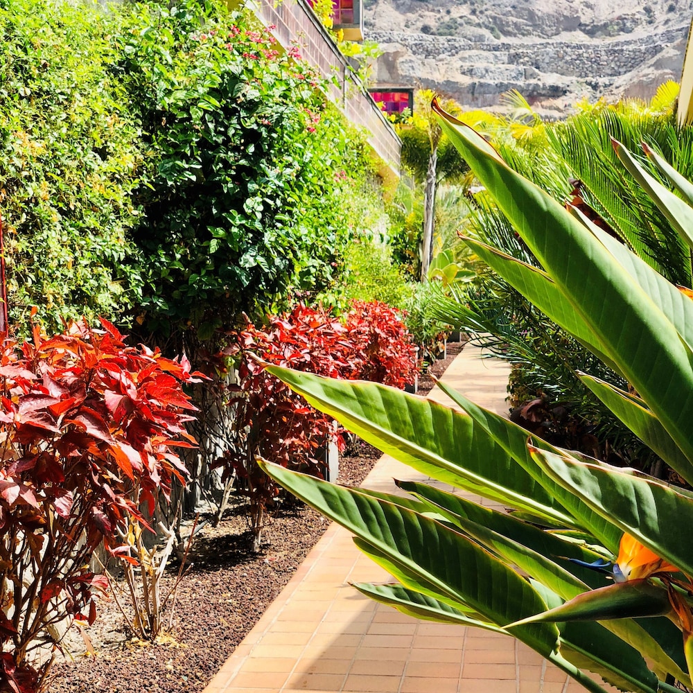 Holiday Club Playa Amadores — Attractions in the area in Puerto Rico, Canary Islands