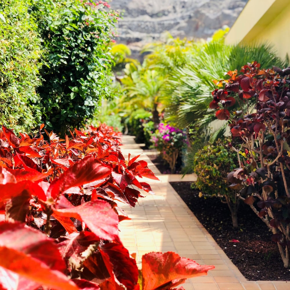 Holiday Club Playa Amadores — Hotel building in Puerto Rico, Canary Islands