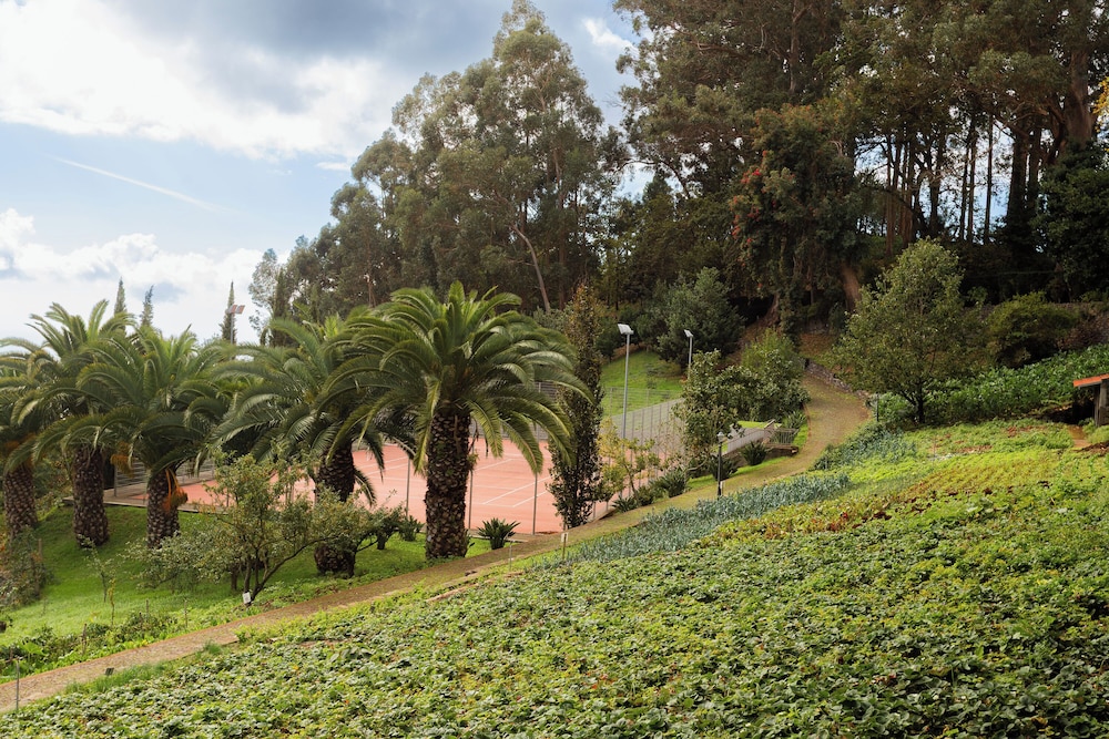 BIO Hotel - Hotel Quinta da Serra — Sports & recreation in Ribeira Brava, Madeira