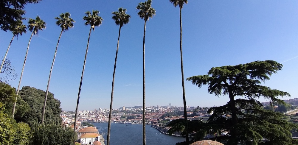 Porto Downtown - zdjęcie 5