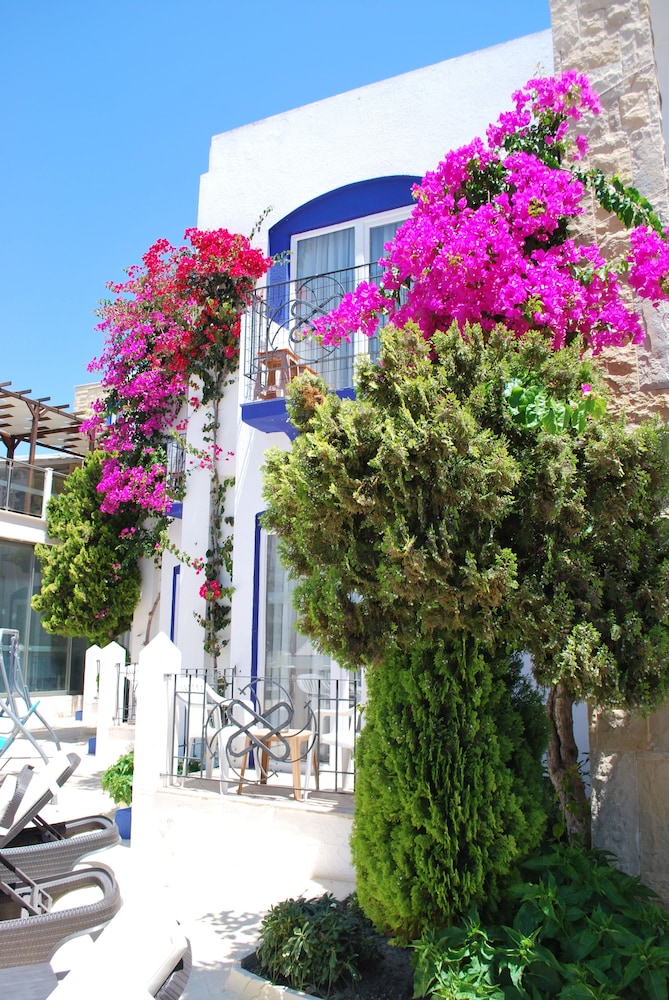 Serpina Hotel - Adults Only — Hotel building in Bodrum, Mugla