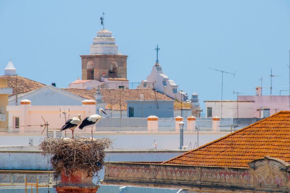 Hotel Cidade de Olhão — Attractions in the area in Olhão, Faro