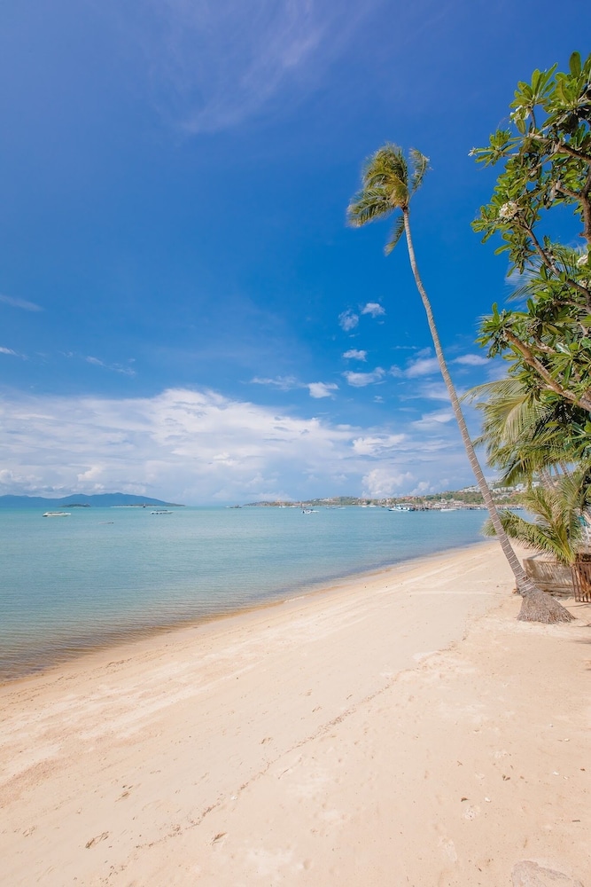 The Privilege Hotel Ezra Beach Club — Beach in Bo Phut, Surat Thani