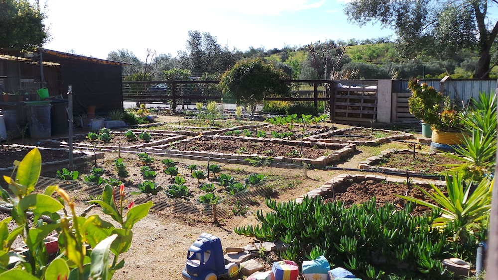 Centre Algarve — Attractions for children in Olhão, Faro