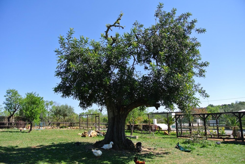 Centre Algarve — Attractions for children in Olhão, Faro