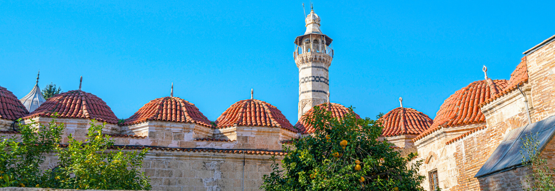Tarsus