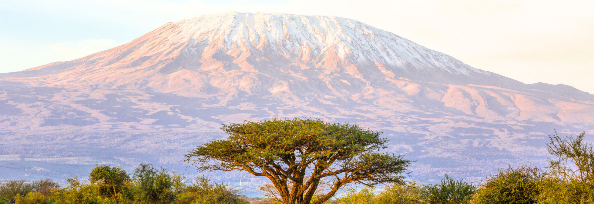 Arusha